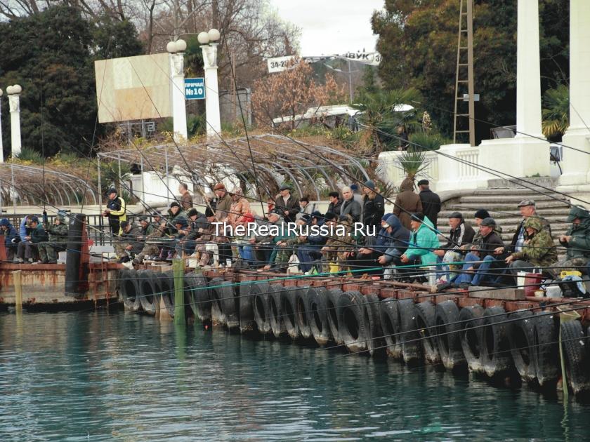 Fishing in Sochi