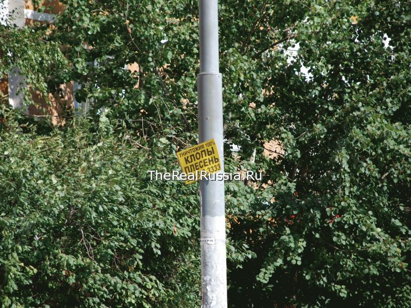 Outdoor advertising in Moscow